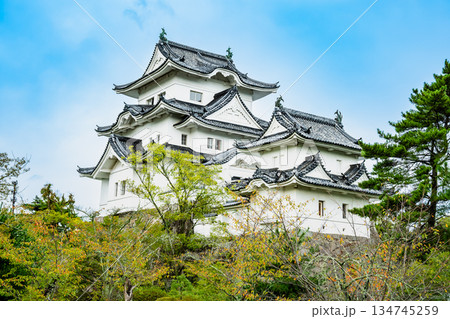 三重 上野城 天守 三重 上野城 天守 134745259