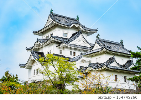 三重 上野城 天守 三重 上野城 天守 134745260
