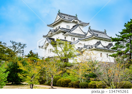 三重 上野城　天守 134745261