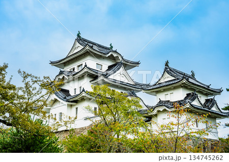三重 上野城 天守 三重 上野城 天守 134745262