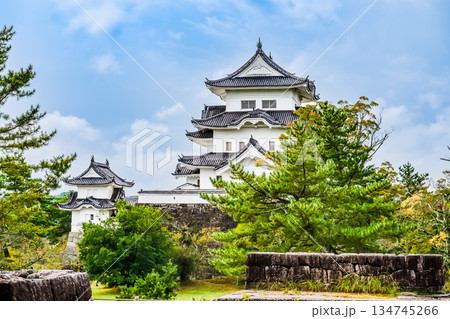 三重 上野城 天守 三重 上野城 天守 134745266