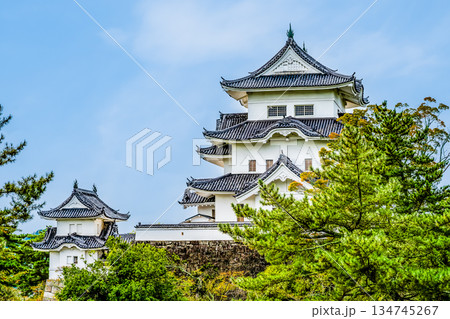 三重 上野城　天守 134745267