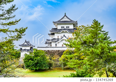三重 上野城 天守 三重 上野城 天守 134745269