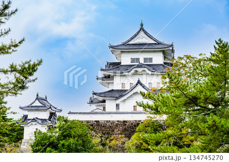 三重 上野城 天守 三重 上野城 天守 134745270