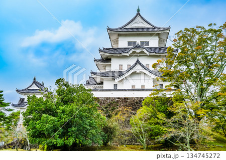 三重 上野城 天守 三重 上野城 天守 134745272
