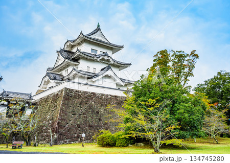 三重 上野城　天守 134745280