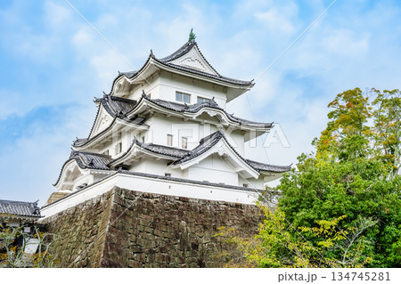 三重 上野城 天守 三重 上野城 天守 134745281