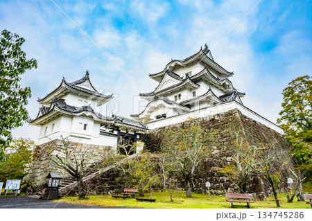三重 上野城 天守 三重 上野城 天守 134745286
