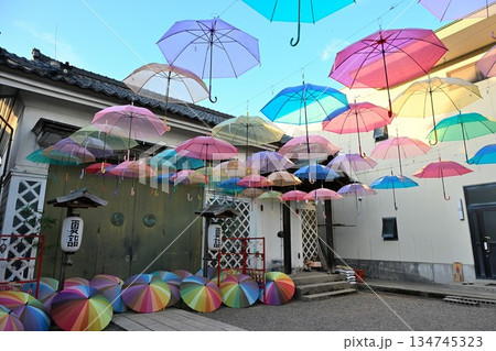 五泉八幡宮　アンブレラスカイ（新潟県） 134745323