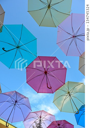 五泉八幡宮　アンブレラスカイ（新潟県） 134745324