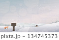 Lonely fox in minimalist countryside landscape covered by snow 134745373