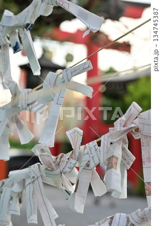 五泉八幡宮の境内に結ばれたおみくじ（新潟県五泉市） 134745387