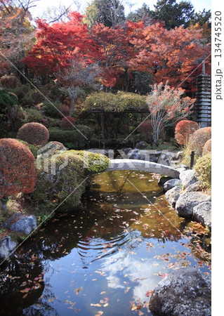 庭園に染まるモミジ 庭園に染まるモミジ 134745520