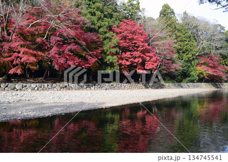 伊勢神宮内宮五十鈴川御手洗場より対岸紅葉を臨む 134745541