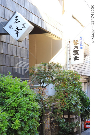 神楽坂 小栗横丁(小栗通り)の風景 神楽坂 小栗横丁(小栗通り)の風景 134745550