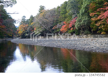 伊勢神宮内宮五十鈴川御手洗場より対岸の紅葉を臨む-3 伊勢神宮内宮五十鈴川御手洗場より対岸の紅葉を臨む-3 134745582