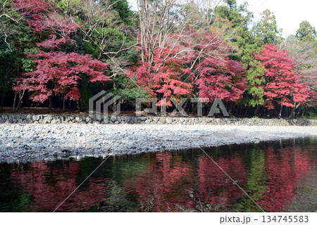伊勢神宮内宮五十鈴川御手洗場より対岸の紅葉を臨む-2 134745583