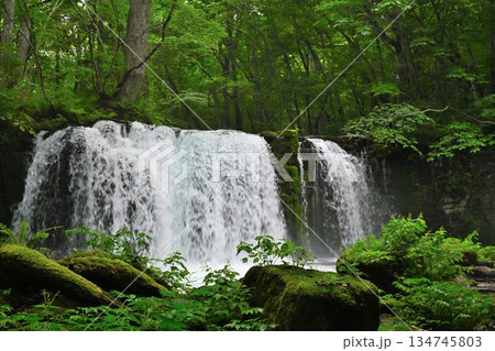 奥入瀬渓流に広がる銚子の滝（青森県十和田市） 134745803