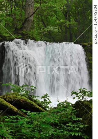 奥入瀬渓流に広がる銚子の滝（青森県十和田市） 134745804