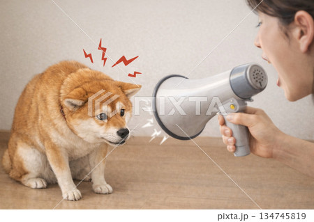 犬にしてはダメなこと 犬にしてはダメなこと 134745819