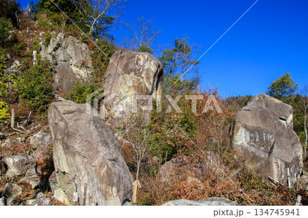 観音寺城跡 観音寺城跡 134745941