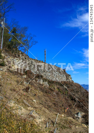 観音寺城跡 観音寺城跡 134745945