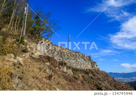 観音寺城跡 観音寺城跡 134745946