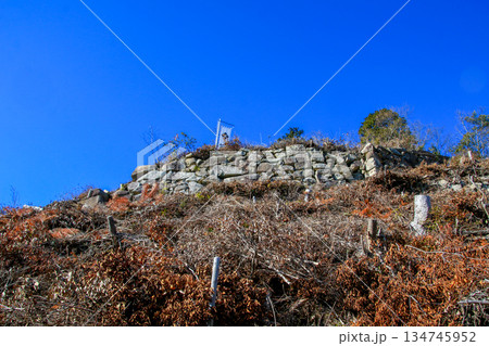 観音寺城跡 134745952