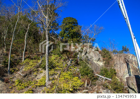 観音寺城跡 134745953