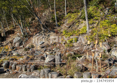 観音寺城跡 観音寺城跡 134745954