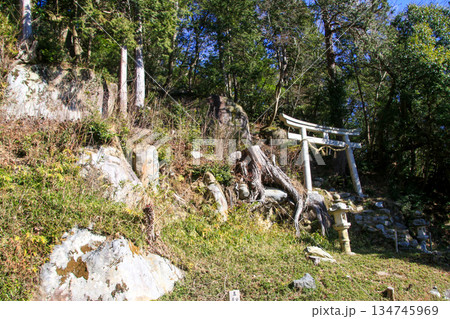 観音正寺 134745969