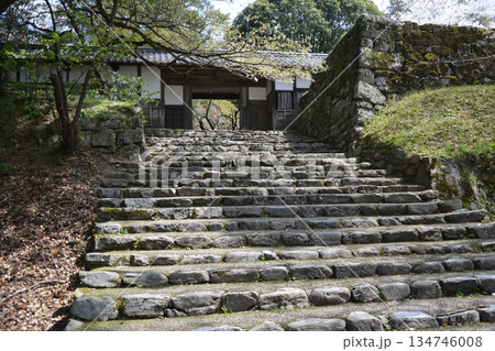 日本の神社へと続く趣のある古い石段と木造の門 134746008