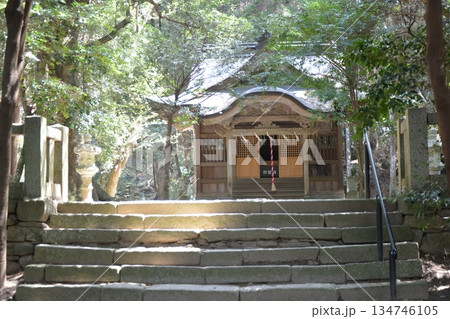 木漏れ日が差し込む静かな森に佇む神社の拝殿 134746105