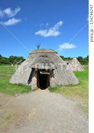 三内丸山遺跡の復元住居と建造物（青森県青森市） 134746247