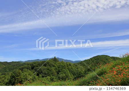 里山　山なみ　秋空　季節感 134746369