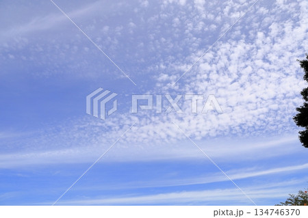 爽やか　高い空　秋雲 134746370
