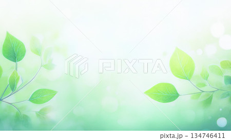 霧に包まれた新緑 134746411