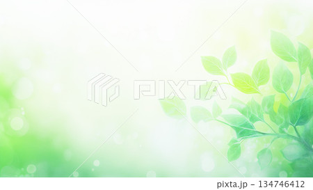 霧に包まれた新緑 134746412