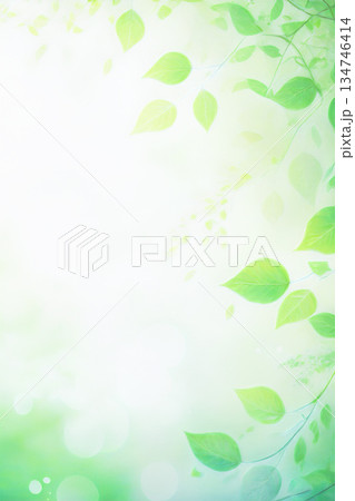 霧に包まれた新緑 134746414