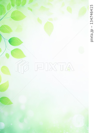 霧に包まれた新緑 134746415