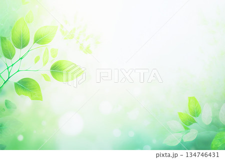 霧に包まれた新緑 134746431