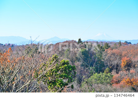 冠雪の富士山と山並　狭山冨士山頂からの景色　 134746464