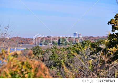 狭山冨士山頂からの景色 狭山冨士山頂からの景色 134746484