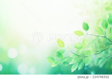 霧に包まれた新緑 134746502