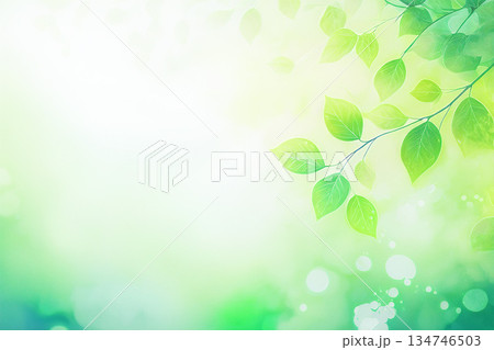 霧に包まれた新緑 134746503