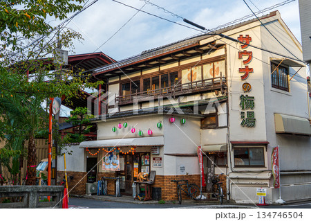 サウナの梅湯 サウナの梅湯 134746504