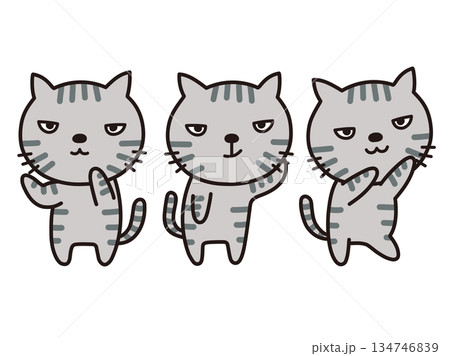 サバトラ サバトラ 134746839