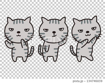 サバトラ サバトラ 134746839