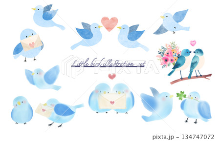 青い鳥のイラストまとめセット 青い鳥のイラストまとめセット 134747072