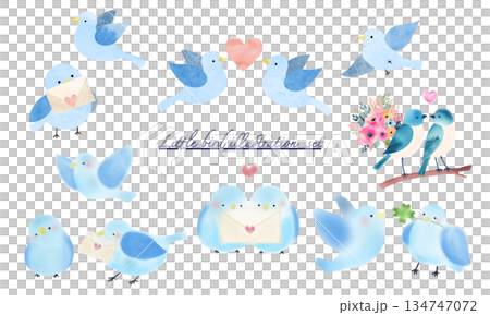 青い鳥のイラストまとめセット 青い鳥のイラストまとめセット 134747072